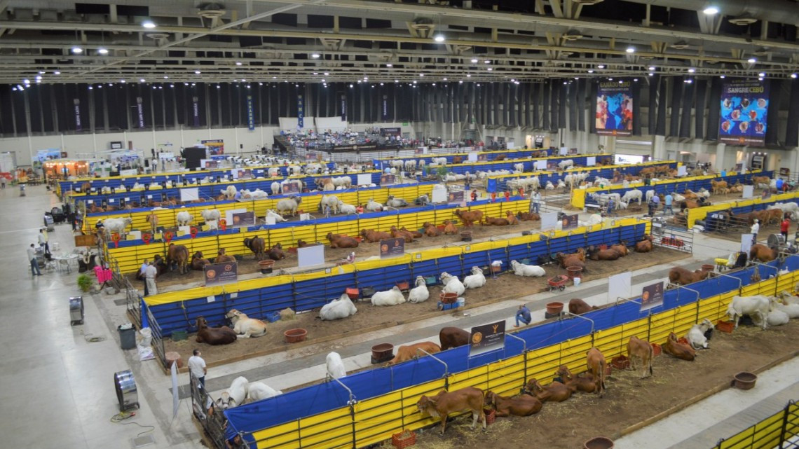 Ganaderos nacionales valoran infraestructura, atractivos  y seguridad de Tampico