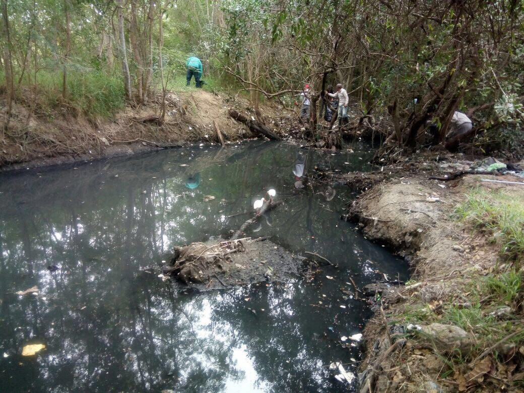 Detectan descargas contaminantes hacia Laguna del Carpintero