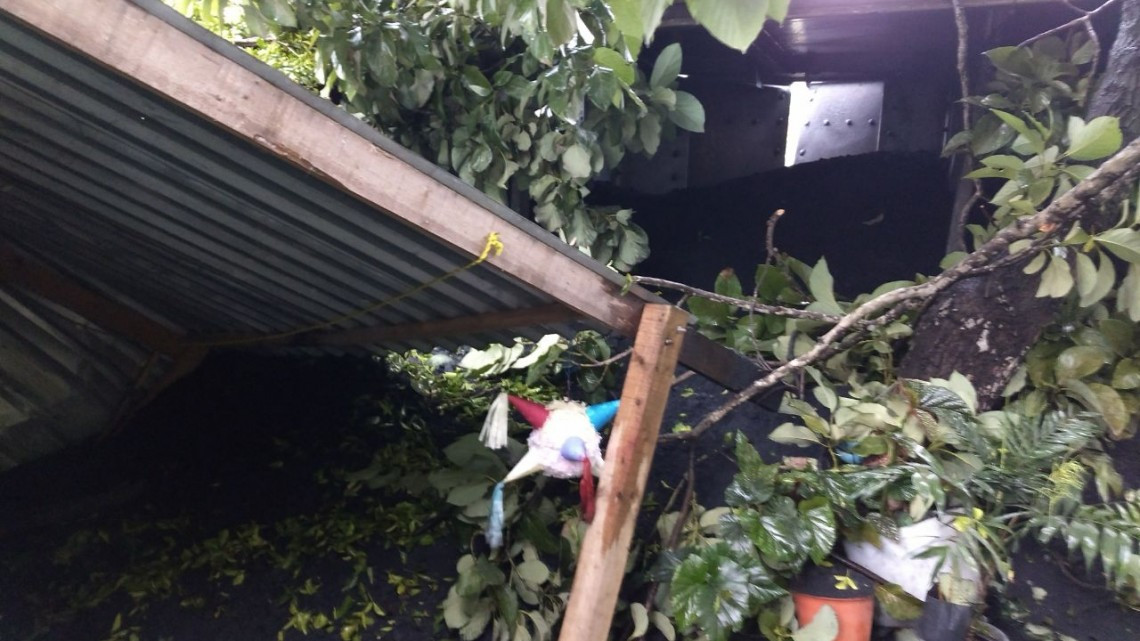 Por fortuna fue coque lo que transportaba el tren y no combustible: Bomberos