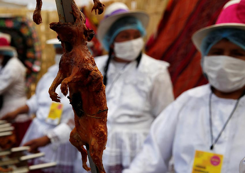 Festival de comida con roedores