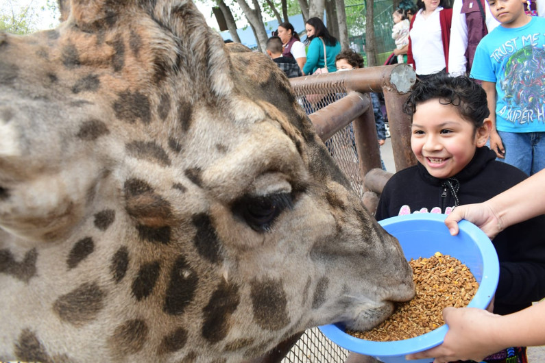 Conviven pequeños en el Zoológico con "Héroes Haciendo Comunidad" 