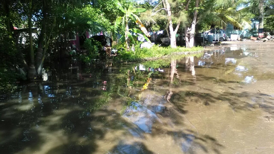  Río Pánuco en niveles críticos, sistema lagunario se desborda