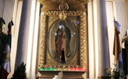 Anuncia HBO Max proyecto "Enigma Guadalupe",