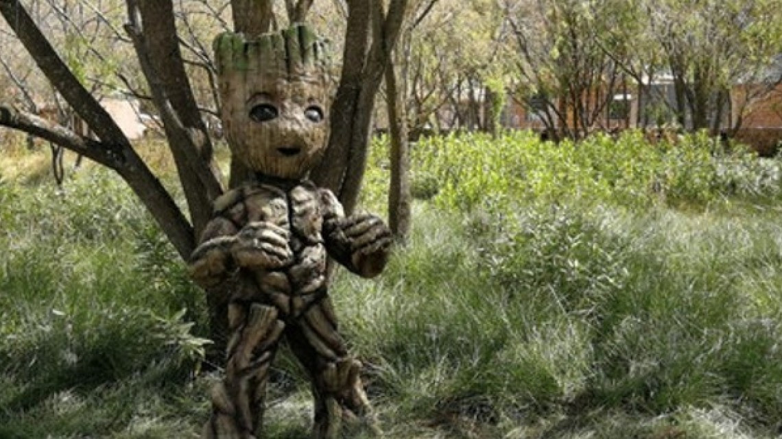 ¿Eres fan de Marvel o del Señor de los anillos? Este lugar te encantará 