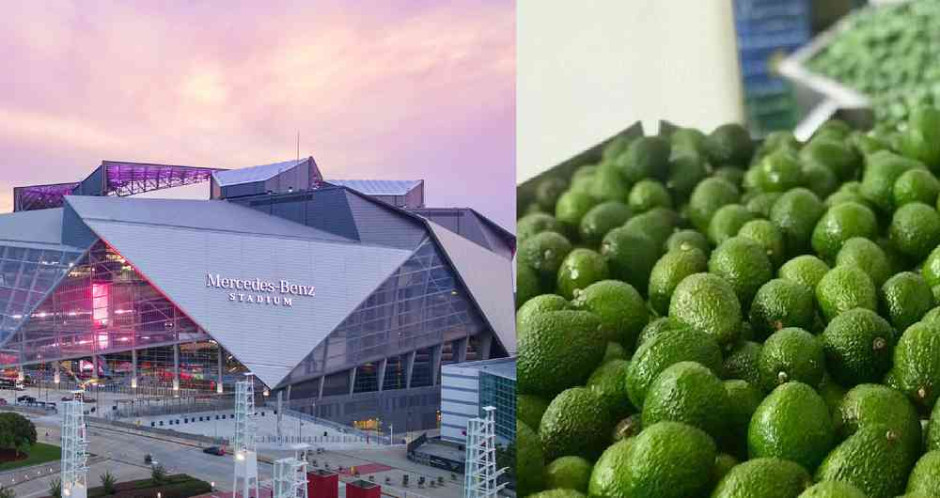 Venta de aguacate a EU rompe récord