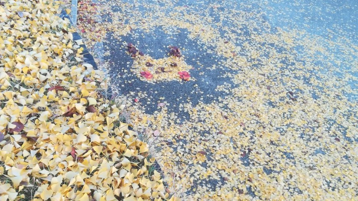 Obras de arte con hojas caídas en Japón