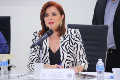 Pide licencia al Congreso Imelda Sanmiguel para ir por la dirigencia del PAN
