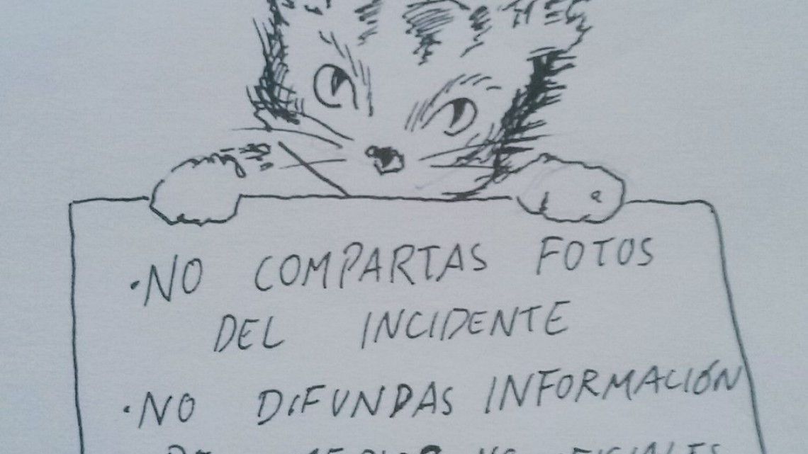 Tras atentado en Barcelona Twitter se llena de gatitos