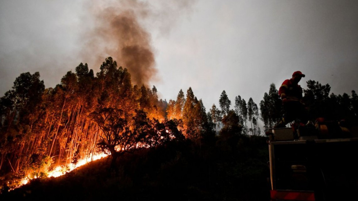 Van 62 muertos por incendio en Portugal