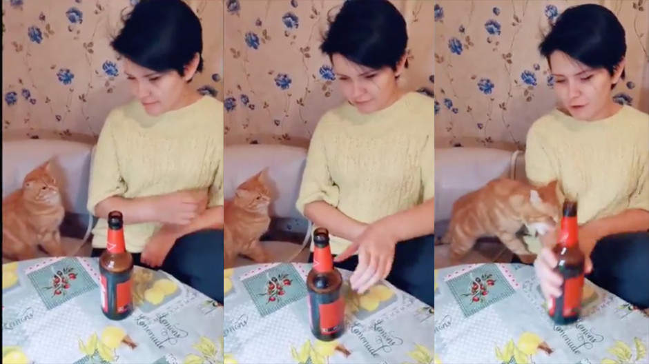 Gatita impide que su dueña tome cerveza