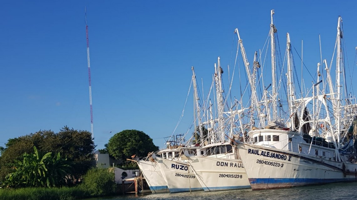 Desfilarán barcos camaroneros por playa de Miramar