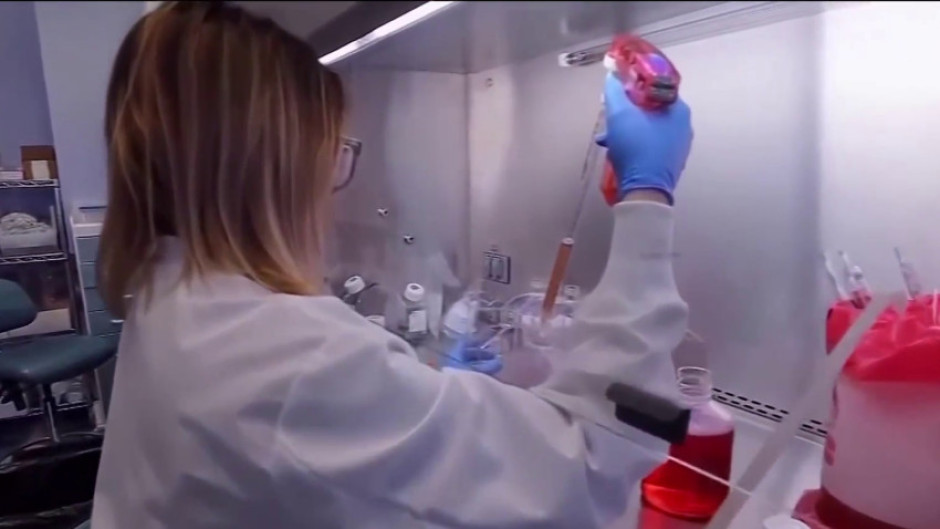 Condado Hidalgo llega a los 20,148 contagios tras registrarse 407 contagios en las últimas 24 horas