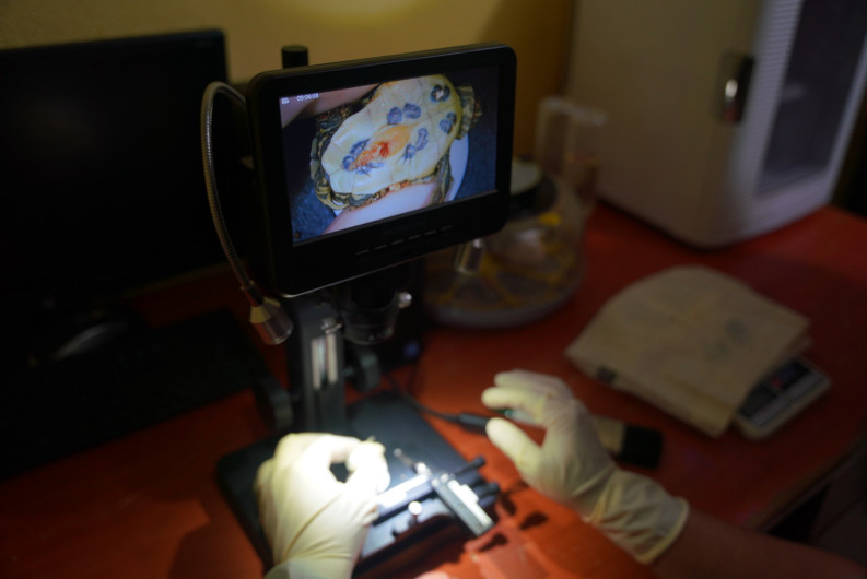 Nuevas incubadoras fortalecen la conservación de especies en el Zoológico de Nuevo Laredo