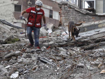 Chichi el canino que viajó de chihuahua a la CDMX encuentra personas con vida 