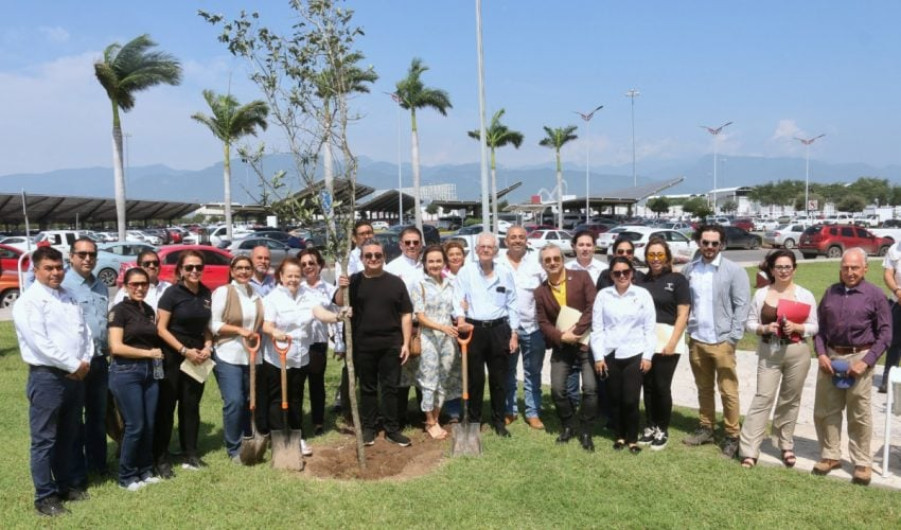 Fomenta SEDUMA reforestación con visión sostenible en el Parque Bicentenario