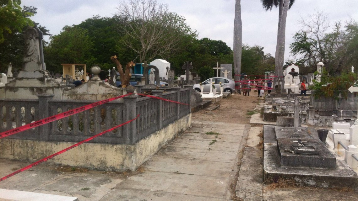 Abejas africanizadas causan pánico en panteón privado