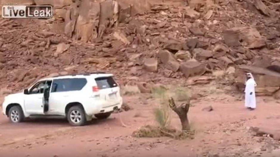 Árabes intentan derribar un árbol con un lujoso automóvil 