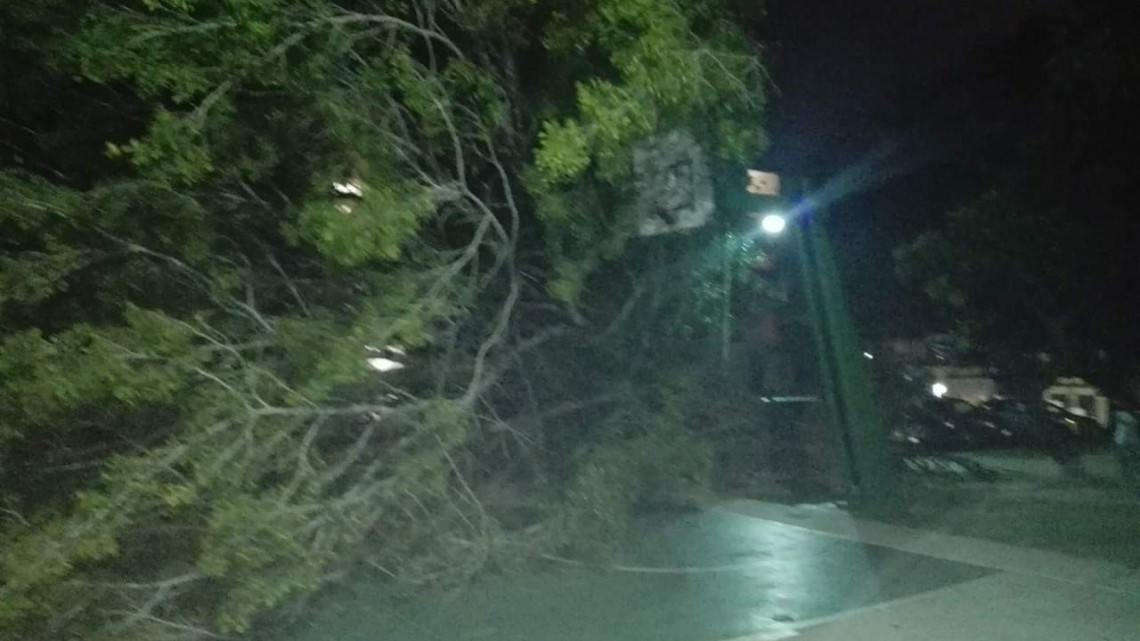 Frente frío no. 10 causa estragos en sur de Tamaulipas 