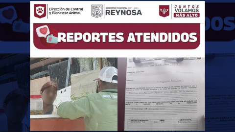 Sanciona Gobierno de Reynosa casos de maltrato animal