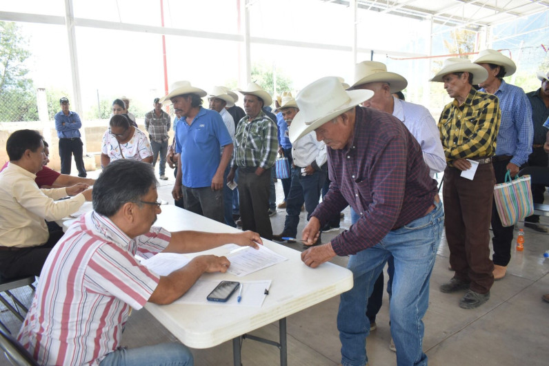 Abren ventanillas para Apoyo Estatal Extraordinario a productores agrícolas