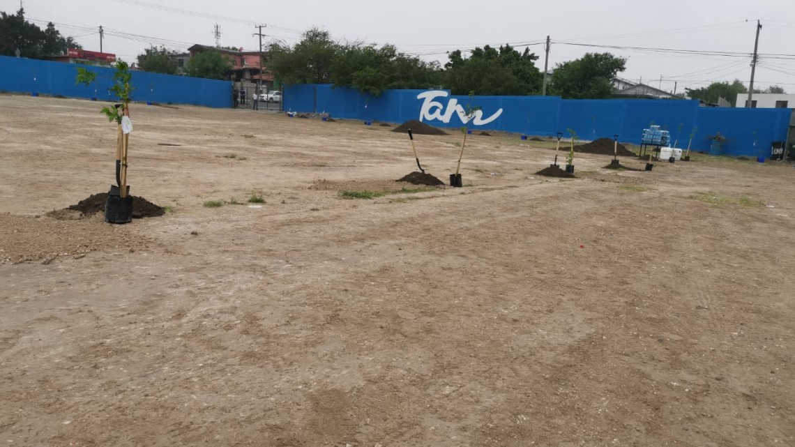 Arranca Programa de Reforestación en escuelas