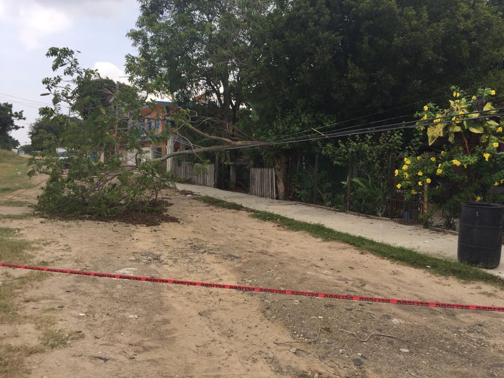 Cables de alta tensión ponen en riesgo a familias de Altamira