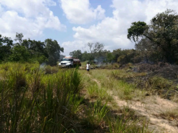 Se registra un nuevo incendio de pastizal