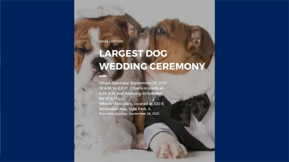 Quieren romper Récord Guinness en asistentes para una boda de perros