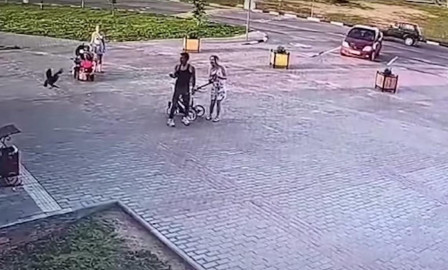 Cuervo ladrón se llevó el dinero de un joven