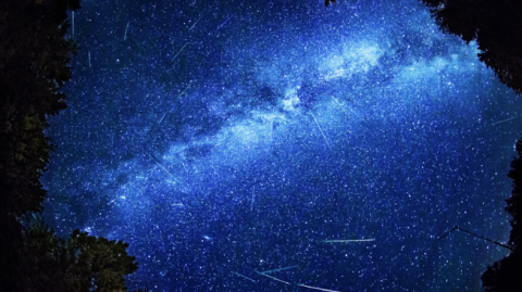 En agosto podrás disfrutar de estas lluvias de estrellas