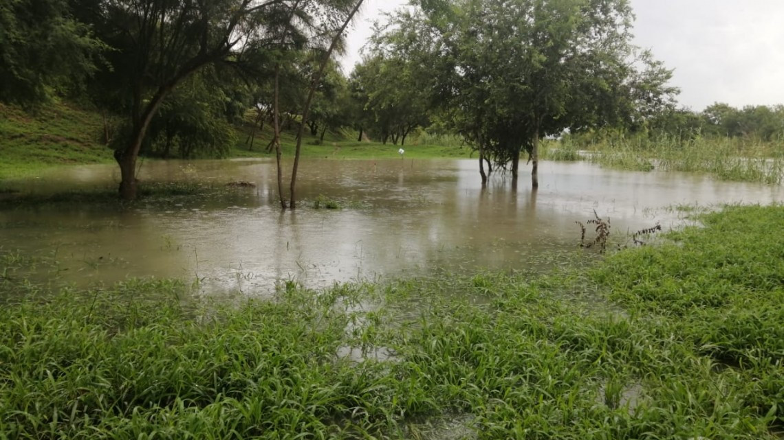 Se sale Rio Bravo de su cauce a la altura de la colonia Jardín de Matamoros