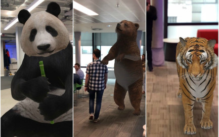 Google te lleva un panda a tu cuarto con realidad aumentada