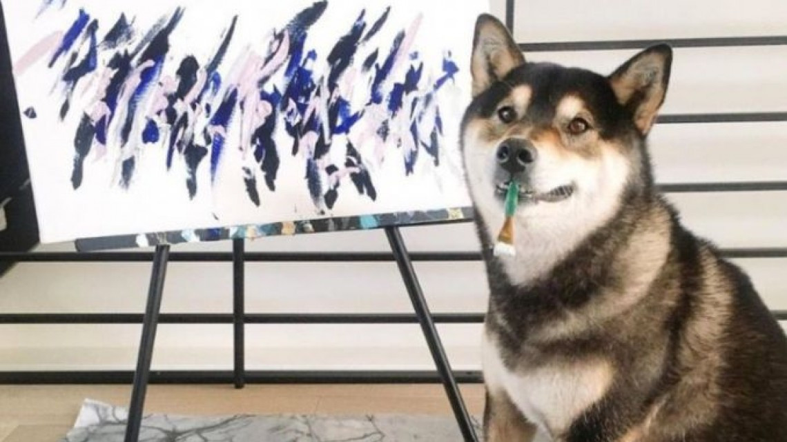Hunter, el perrito pintor que ha ganado miles de dólares con sus pinturas