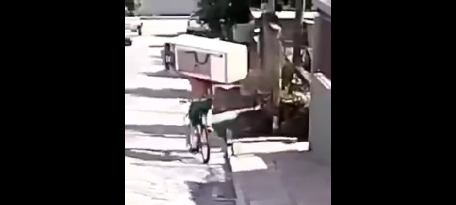 Hombre monta en su bicicleta con refrigerador 