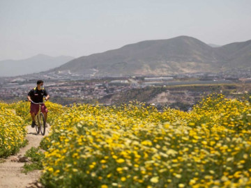 Aprueban Programa de Recuperación por los impactos de COVID-19