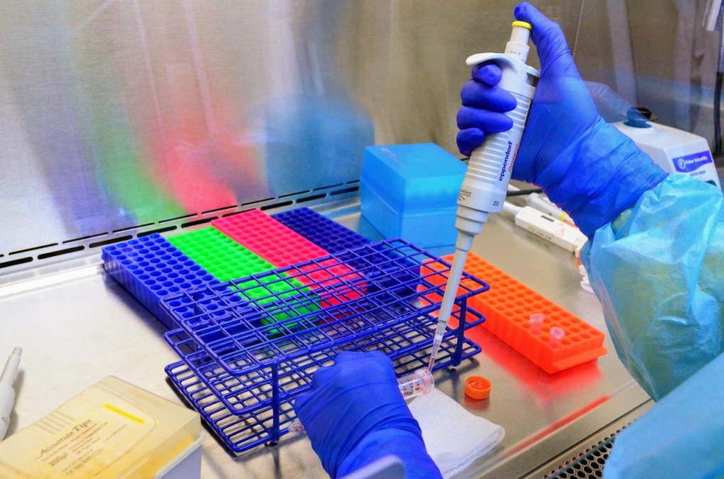 Registra Tamaulipas 36 nuevos casos de COVID-19