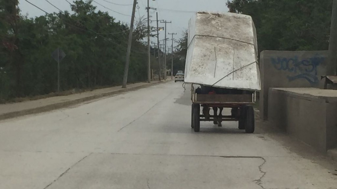 Serio problema de desechos urbanos cerca de sistemas lagunarios