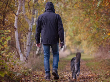 PETA ofrece 10 mil dólares por encontrar a quien enterró vivo a un perro 