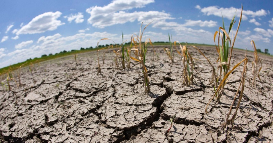 La sequía afectó el 40% de siembra de temporal asegurado
