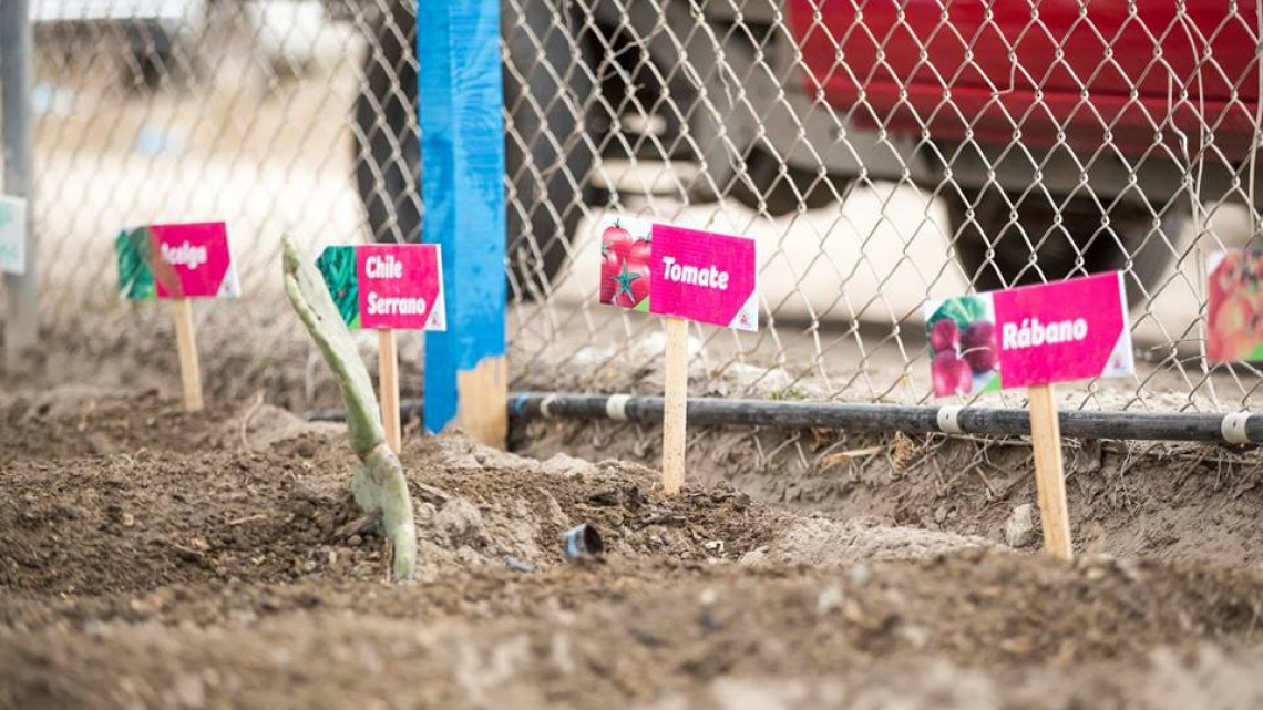 DIF Tamaulipas continúa con apoyos en estado