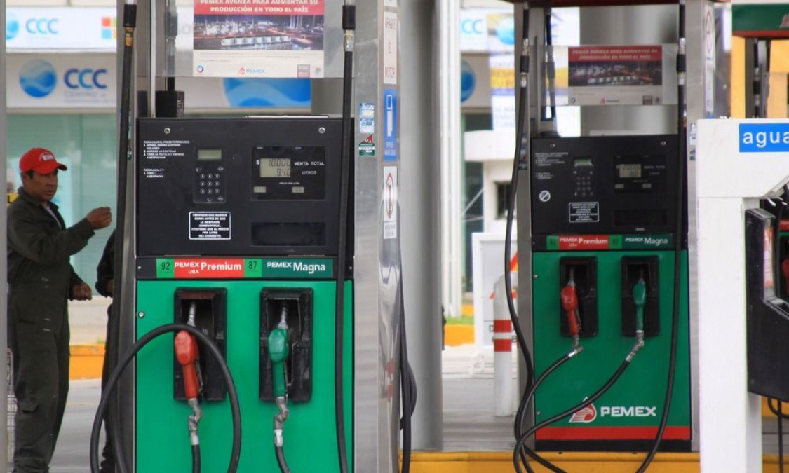 Debe dar a conocer estadísticas Inegi sobre de gasolina, diésel y biodiesel: INAI