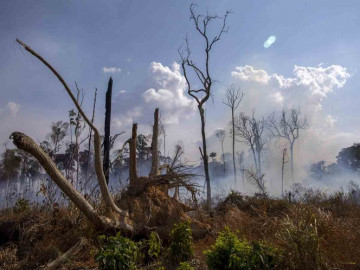 Chile continúa colaborando para combatir incendios en el Amazonas