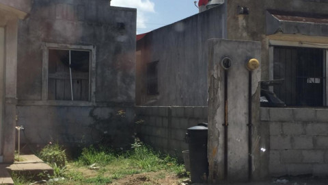 Preparan acciones de lucha contra el dengue