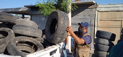 Promueve Gobierno Municipal limpieza y salud para reynosenses