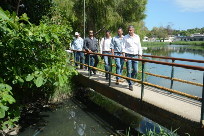 Supervisa Chucho Nader Limpieza y Desazolve de Canales Pluviales