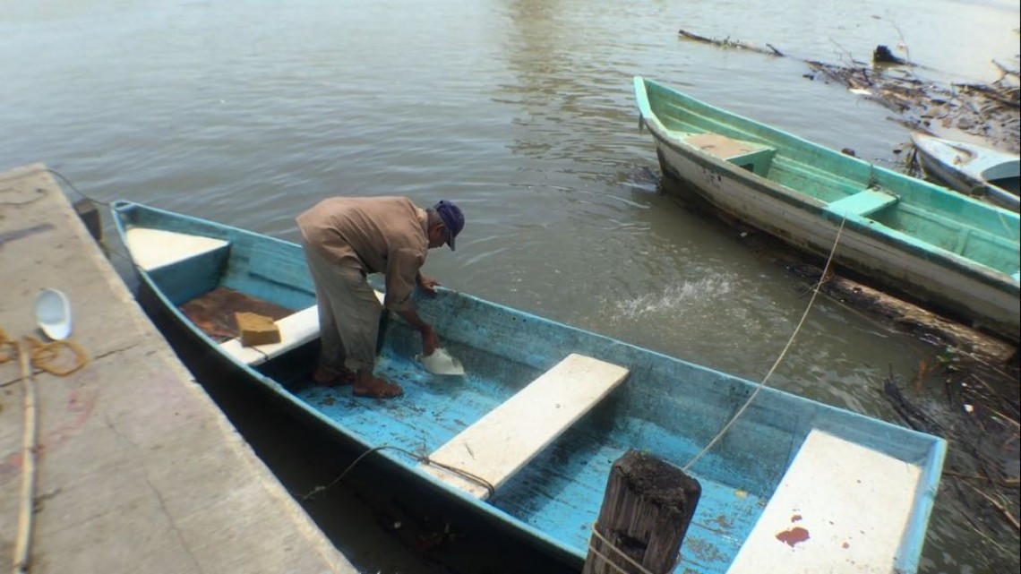 En proyecto la siembra de tilapia en el sistema lagunario