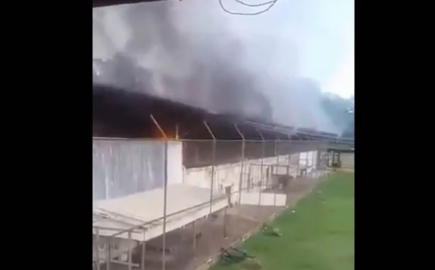 Al menos 52 muertos deja motín en cárcel de Brasil