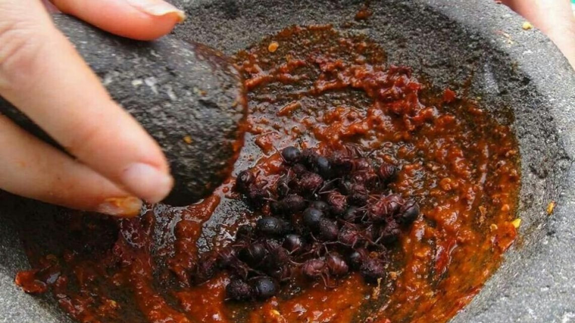 Las hormigas “chicatanas”, el manjar oaxaqueño más caro de temporada