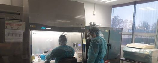 Suma pandemia 77 nuevos casos de COVID-19 en Tamaulipas