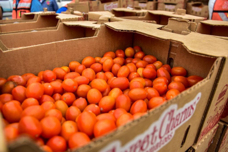Agradece DIF Reynosa donación de tomate